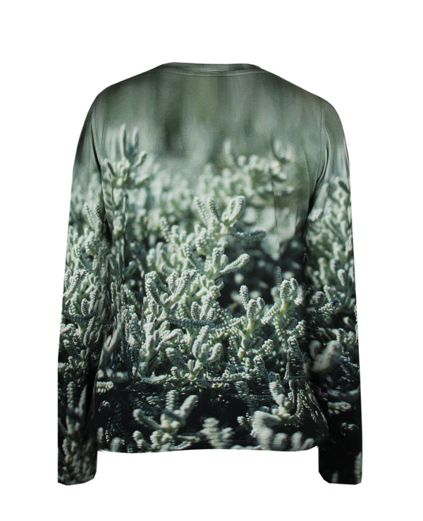 Shirt Sedum