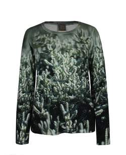 Shirt Sedum