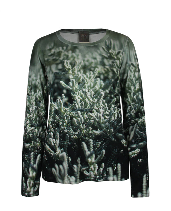 Shirt Sedum