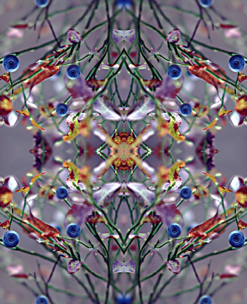 Shopper Aft/Blueberry