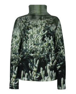 Rolli Sedum