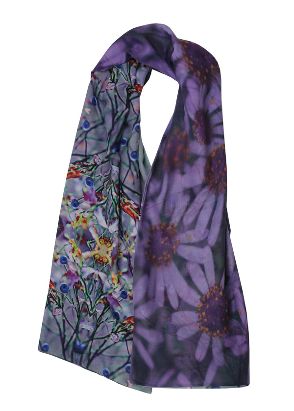 Scarf Aster/Blueberry